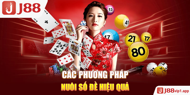 Các phương pháp nuôi số đề hiệu quả