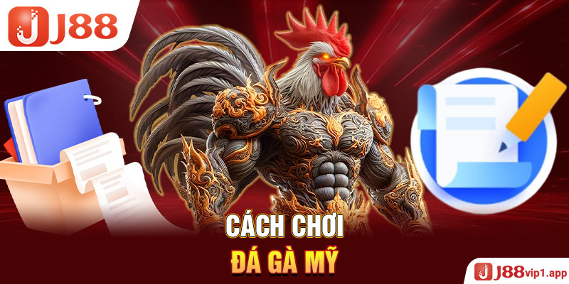 Cách chơi đá gà mỹ