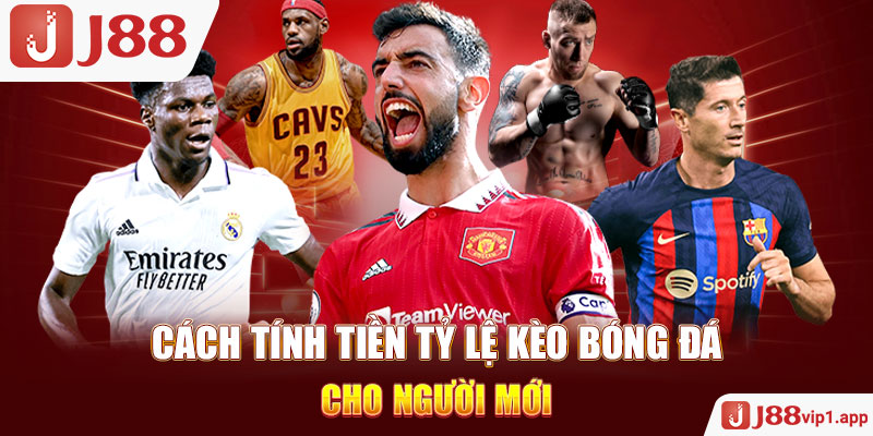 Cách tính tiền tỷ lệ kèo bóng đá cho người mới