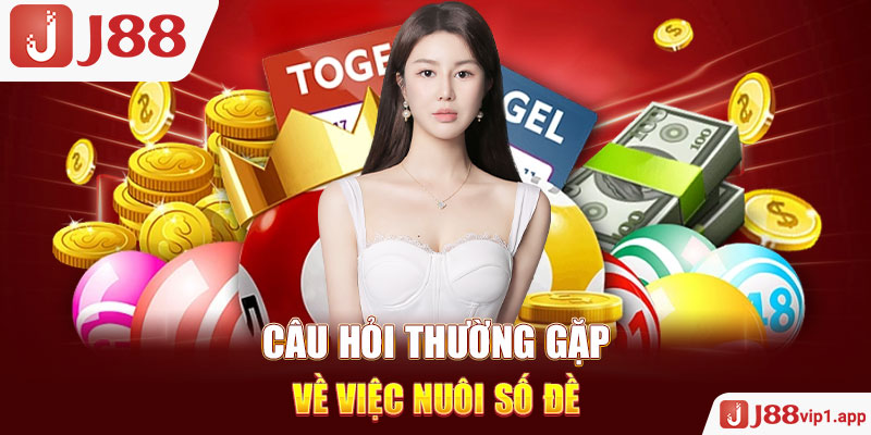 Câu hỏi thường gặp về việc nuôi số đề