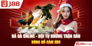 Đá Gà Online - Hội Tụ Những Trận Đấu Bùng Nổ Cảm Xúc