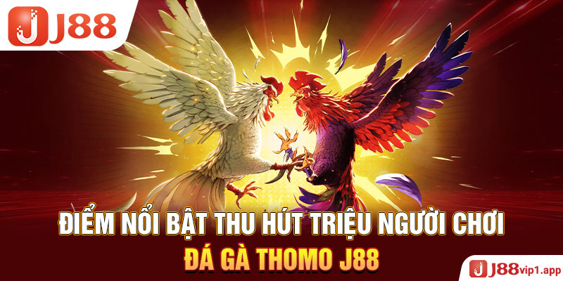 Điểm nổi bật thu hút triệu người chơi đá gà Thomo J88