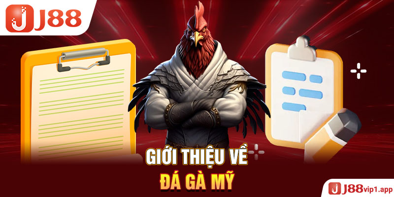 Giới thiệu về đá gà mỹ