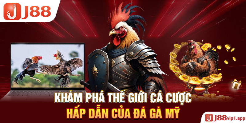 Khám Phá Thế Giới Cá Cược Hấp Dẫn Của Đá Gà Mỹ