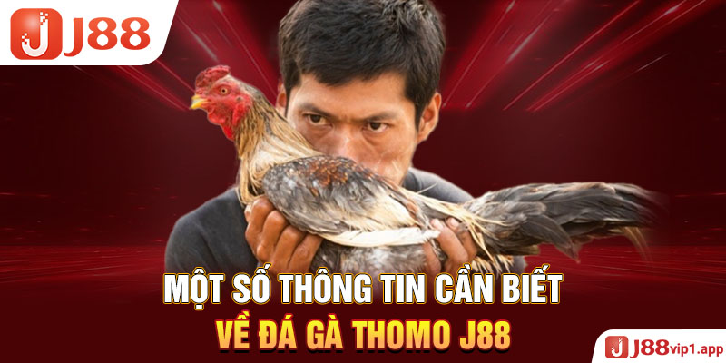 Một số thông tin cần biết về đá gà Thomo J88