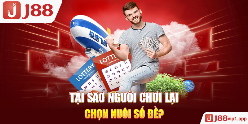 Tại sao người chơi lại chọn nuôi số đề?