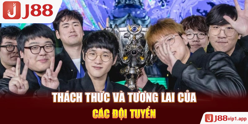 Thách Thức và Tương Lai của các đội tuyển